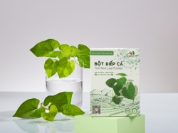 3 Cách Làm Đẹp Da Từ Bột Diếp Cá Tại Nhà Cho Làn Da Sáng Mịn Không Tì Vết