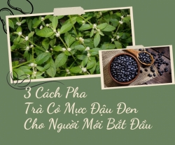 3 Cách Pha Trà Cỏ Mực Đậu Đen Cho Người Mới Bắt Đầu