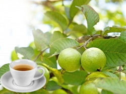 5 lý do bạn nên uống trà lá ổi mỗi ngày 