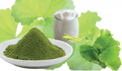 Bí quyết chăm sóc da từ bột rau má dành cho các nàng