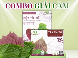 Bộ Đôi Giải Cảm Tự Nhiên: Bột Tía Tô & Trà Tía Tô