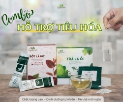 Bộ Đôi Lá Mơ Lá Ổi Giúp Hệ Tiêu Hóa Ổn Định Và Nhẹ Nhàng Hơn