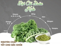 Bột cải xoăn có tốt như ăn cải xoăn tươi không?