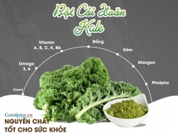 Bột cải xoăn Kale nguyên chất - Thảo dược thiên nhiên tốt cho sức khỏe