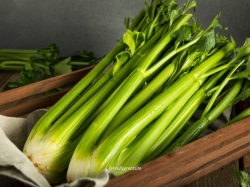 Bột Cần Tây: 5 Lợi Ích 
