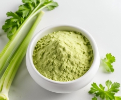 Bột Cần Tây Là Gì? Lợi Ích, Cách Dùng Và cách chọn bột cần tây