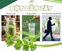 Bột Cần Tây Và Công Dụng Hỗ Trợ Ăn Uống Điều Độ Dịp Lễ Tết