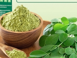 Bột chùm ngây có tác dụng gì?