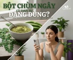 Bột Chùm Ngây Có Thực Sự Đáng Dùng? Góc Nhìn Từ Xu Hướng Sống Lành Mạnh