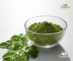 Bột Chùm Ngây Có Tốt Không? Tổng Hợp Công Dụng Được Nhiều Người Quan Tâm