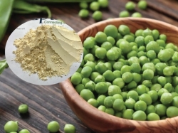 Bột đậu hà lan là gì? Mua bột đậu hà lan chất lượng cao