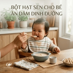 Bột Hạt Sen Cho Bé Ăn Dặm Dinh Dưỡng Lành Tính Cho Trẻ
