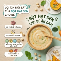 Bột Hạt Sen Cho Bé Ăn Dặm Thực Phẩm Nhẹ Nhàng Cho Hệ Tiêu Hóa Của Trẻ