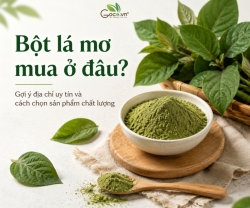 Bột Lá Mơ Mua Ở Đâu? Gợi Ý Địa Chỉ Uy Tín Và Cách Chọn Sản Phẩm Chất Lượng 