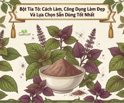 Bột Tía Tô: Cách Làm, Công Dụng Làm Đẹp Và Lựa Chọn Sẵn Dùng Tốt Nhất