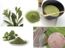 Các loại bột thiên nhiên trị mụn hiệu quả lành tính nhất