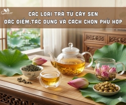 Các loại trà từ cây sen: đặc điểm, tác dụng và cách chọn phù hợp
