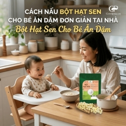 Cách Nấu Bột Hạt Sen Cho Bé Ăn Dặm Đơn Giản Tại Nhà