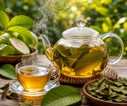 Cách Nấu Trà Lá Ổi Uống Hằng Ngày Đơn Giản Và Tiện Lợi