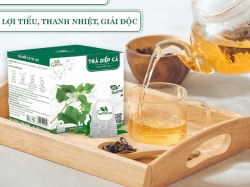 Cách pha trà diếp cá dễ uống và thanh nhiệt