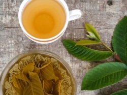 Cách pha trà ổi giảm cân ngon thơm - Cách uống hiệu quả