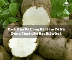 Cách Pha Và Uống Bột Sâm Tố Nữ Đúng Chuẩn Để Đạt Hiệu Quả