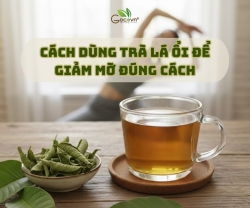 Cách Sử Dụng Trà Lá Ổi Đúng Cách Để Hỗ Trợ Giảm Mỡ Hiệu Quả