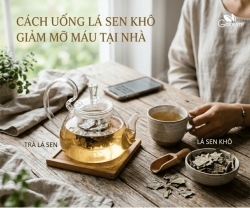 Cách Uống Lá Sen Khô Giảm Mỡ Máu Tại Nhà