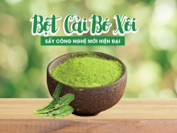 Cải bó xôi với dinh dưỡng vàng cho sức khỏe