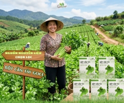 Cần Tây Có Phải Nơi Nào Cũng Trồng Được Không?