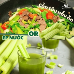 Cần Tây Uống Và Cần Tây Nấu Ăn Khác Gì Và Đâu Là Lựa Chọn Tốt Nhất Cho Bạn?