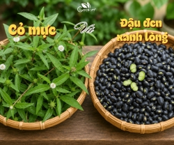 Cỏ Mực Có Kết Hợp Được Với Đậu Đen Xanh Lòng Không?