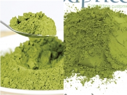Công dụng, cách dùng, cách phân biệt bột matcha và bột trà xanh 