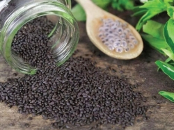 Công dụng của hạt é dành cho sức khoẻ ít người biết