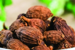 Công dụng của thảo quả trong ẩm thực và sức khỏe