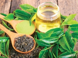 Công dụng của trà xanh đối với sức khoẻ và làm đẹp
