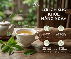 Công Dụng Nước Chè Xanh Tươi Trong Thói Quen Hằng Ngày