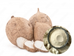 công dụng sâm tố nữ bạn nhất định phải biết