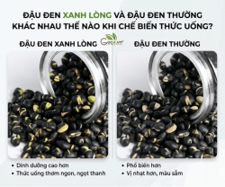 Đậu Đen Xanh Lòng Và Đậu Đen Thường Khác Nhau Thế Nào Khi Chế Biến Thức Uống?