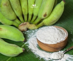  Điều Gì Khiến Tinh Bột Kháng Chuối Xanh Giúp Đường Ruột Khỏe Mạnh Hơn?