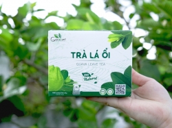 Đối tượng nên sử dụng Trà Lá Ổi Goce 