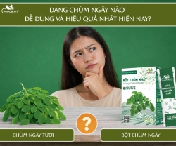 Dùng Chùm Ngây Thế Nào Để Phát Huy Công Dụng Tốt Nhất?