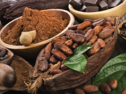 Giá bột ca cao nguyên chất - Mua bột ca cao chất lượng cao