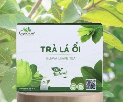 Giá Trị Mà Vườn Ổi Ở Quê Mang Lại