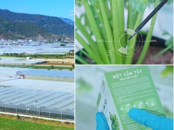 Goce.vn | Quy trình sản xuất Bột Cần Tây đạt chuẩn ISO 22000:2018 & FDA