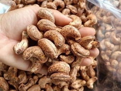 Hạt điều rang muối chuẩn ngon - tốt cho sức khỏe