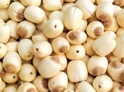 Hạt sen sấy khô bùi thơm nhiều dinh dưỡng