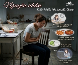 Hệ Tiêu Hóa Kém Phải Làm Sao? Giải Pháp 3 Trong 1 Giảm Đầy Hơi, Khó Tiêu