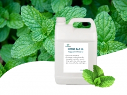 Hương bạc hà chiết xuất thiên nhiên tạo hương tốt