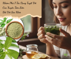 Khám Phá 7 tác dụng tuyệt vời Của Xuyên Tâm Liên Đối Với Sức Khỏe